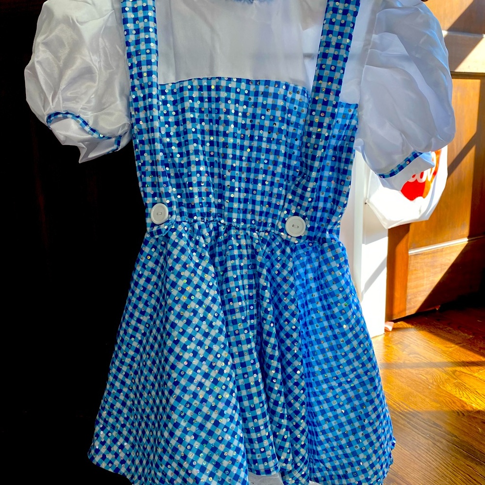 Dorothy from Wizard of Oz Costume